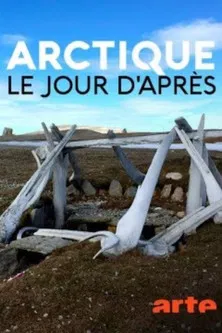 Arctique – Le jour d'après poster