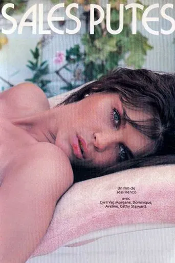 Les minettes brûlantes poster