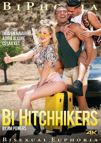 Bi Hitchhikers poster
