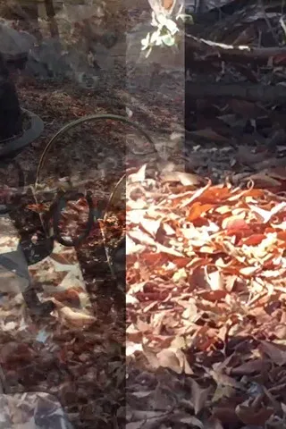 Ever Reaching Fairly Preachily poster