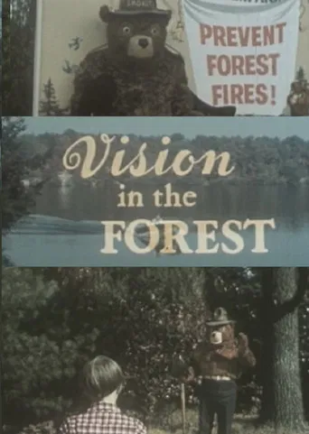 Vision In The Forest poster