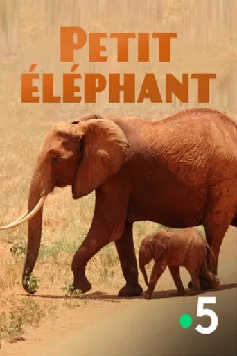 Small Elephant poster