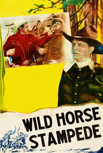 Wild Horse Stampede poster
