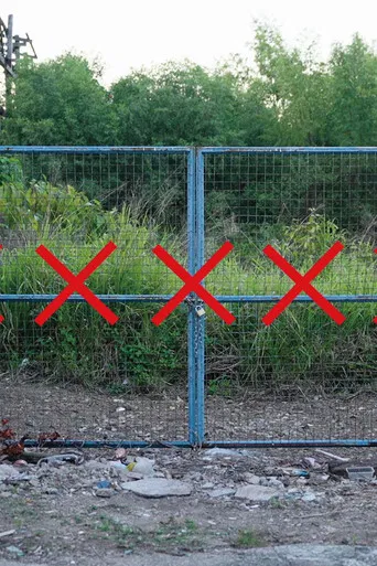 The Ceremony of Coloane poster