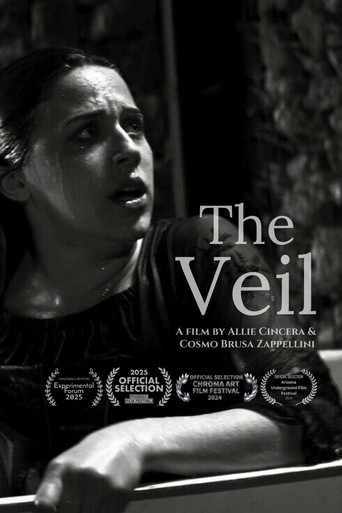 The Veil poster