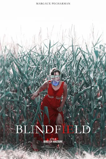 Blindfïeld poster