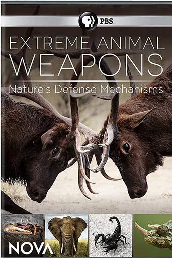 Extreme Animal Weapons poster