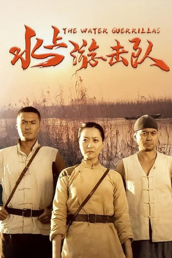 水上游击队 poster