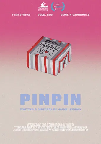 PINPIN poster