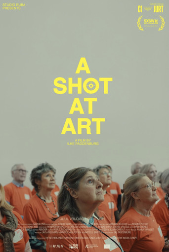 A Shot at Art poster