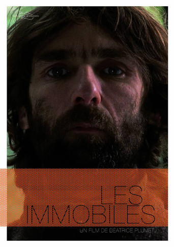 Les immobiles poster