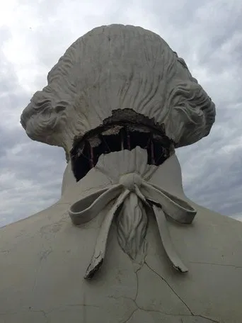 All the Presidents' Heads poster