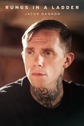 Rungs in a Ladder poster