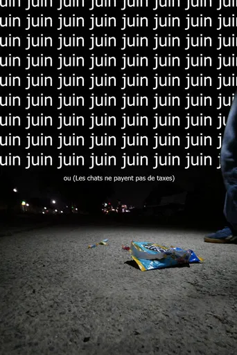 Juin ou  (Les chats ne payent pas de taxes) poster