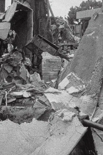 California is Burning poster