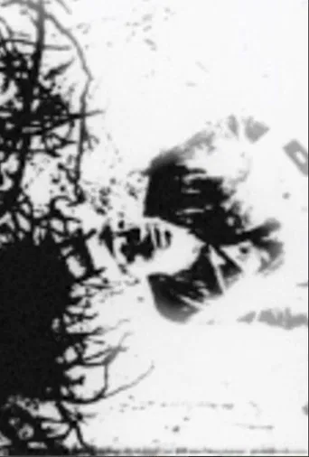 Speaking in Tongues: Take One poster