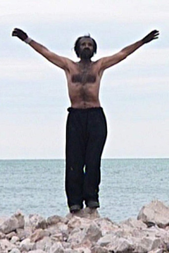 The Old Master poster