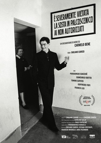 È severamente vietata la sosta in palcoscenico ai non autorizzati. Un documentario di meno su Carmelo Bene poster