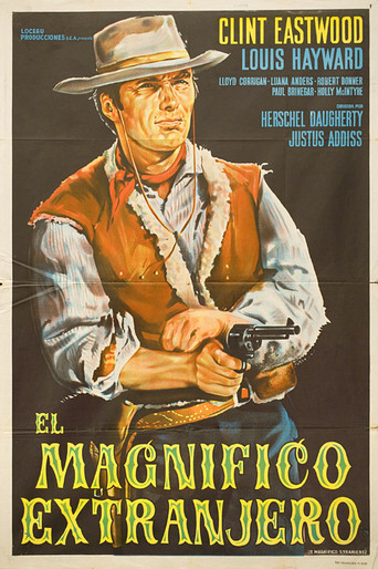 The Magnificent Stranger poster