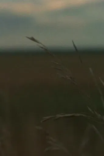 Around Sanford poster