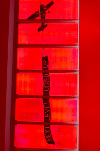 NEXT LEVEL FUCKED UP poster