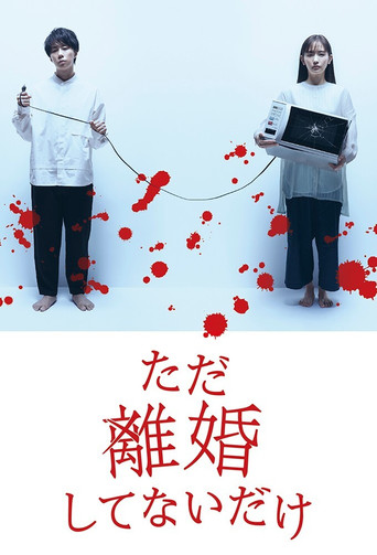 We Are Just Not Divorced poster