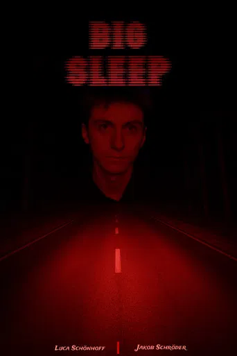 BIG SLEEP poster