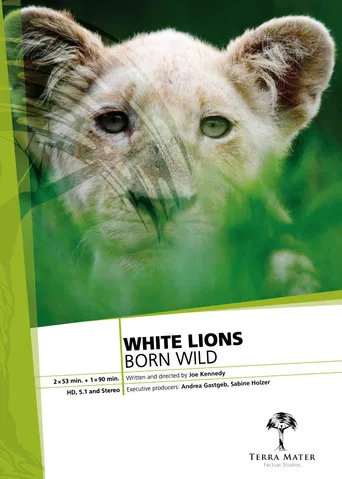 White Lions Born Wild poster