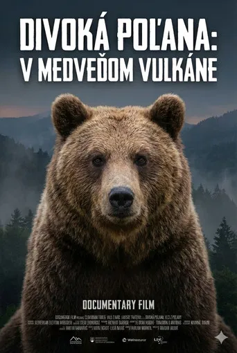 Divoká Poľana: V medveďom vulkáne poster