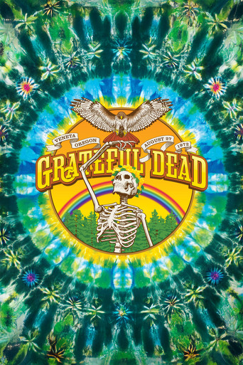 Grateful Dead: Sunshine Daydream poster