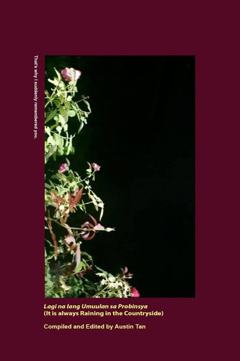 It Is Always Raining in the Countryside poster