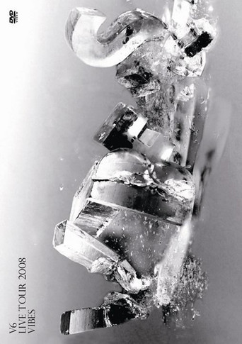 V6 LIVE TOUR 2008 VIBES poster