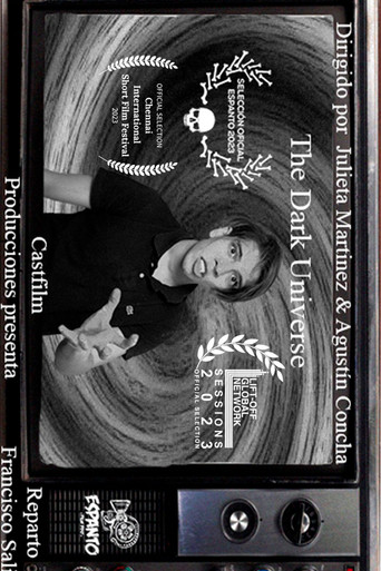 The Dark Universe poster