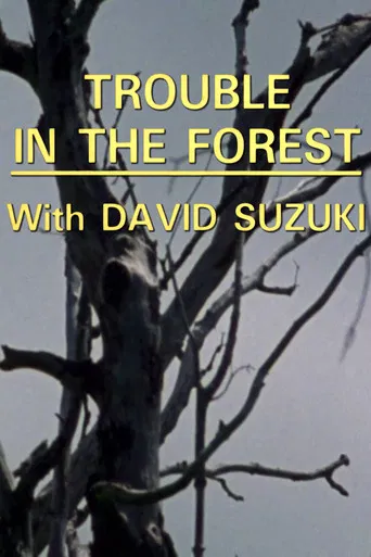 Trouble in the Forest poster