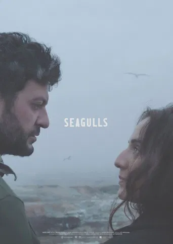 Seagulls poster