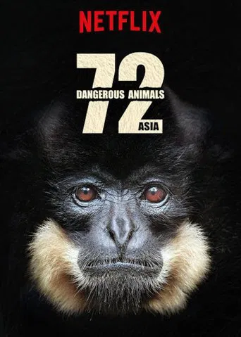 72 Dangerous Animals: Asia poster