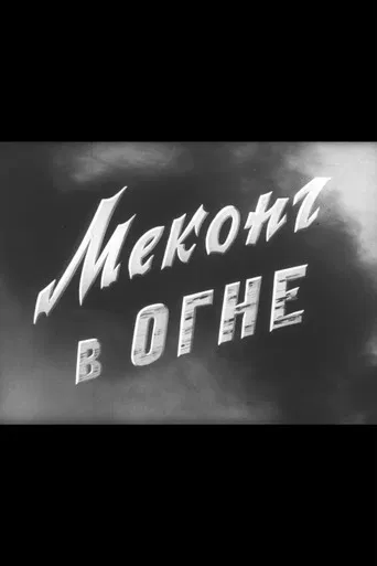 Mekong in Flames poster