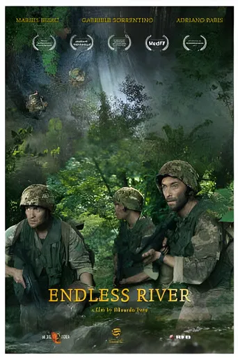 Endless River poster