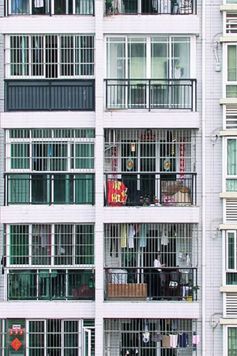 The Surroundings poster