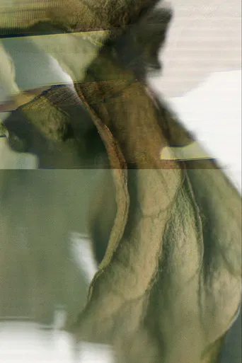 Um Minuto e Meio de Folhas em um Escâner poster