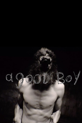 a good boy poster