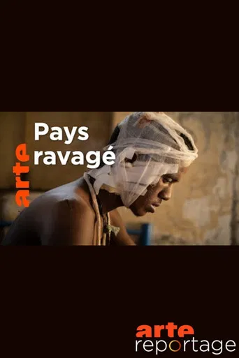 Soudan guerre du Tigre sur l autre rive poster