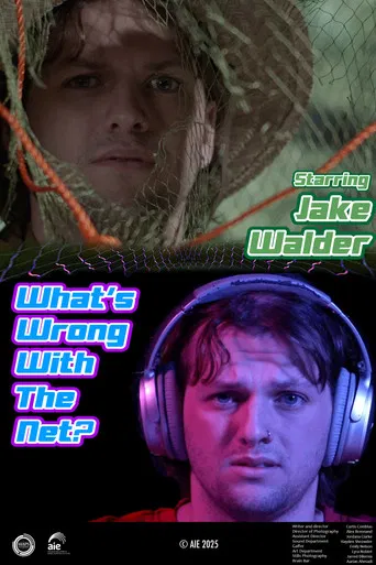 What's Wrong with the Net? poster