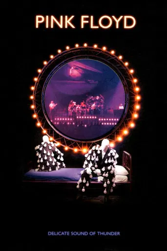Pink Floyd: Delicate Sound of Thunder poster