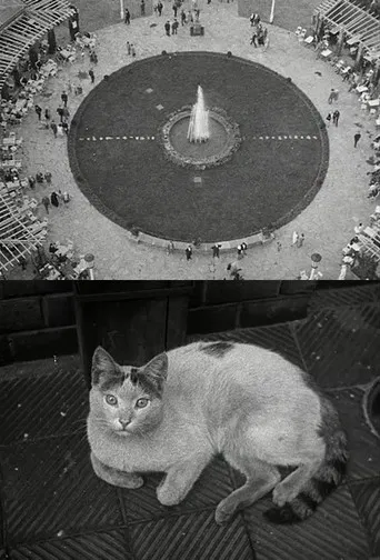 Berlin Still-Life poster