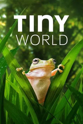 Tiny World poster
