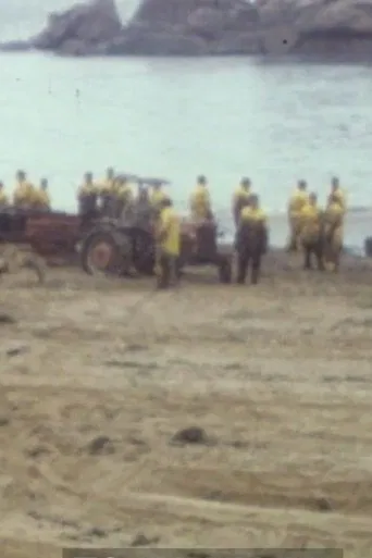 Collection série noire : Tome 4 poster