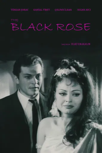 Black Rose poster