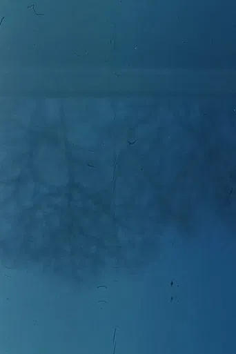 Austrian Pavilion poster