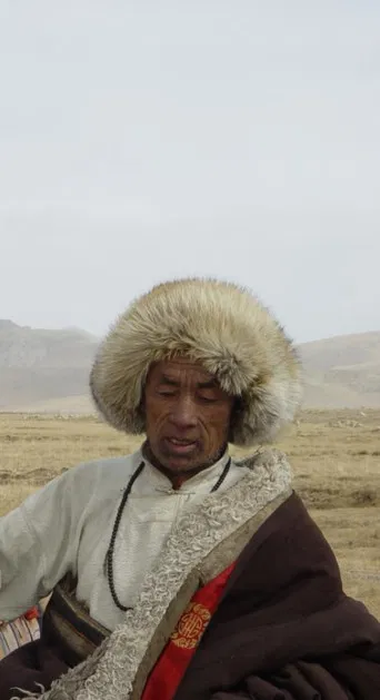 The Grassland poster